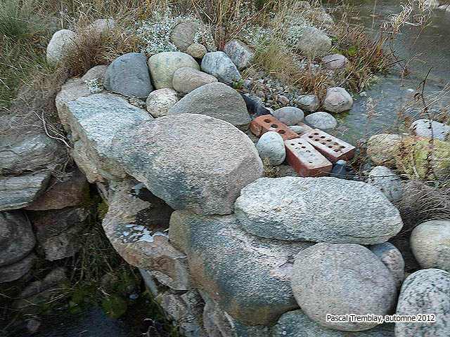 Hivernation d'un tang - Hivernation Plan d'eau - Hivernation Jardin d'eau - Hivernation Bassin extrieur