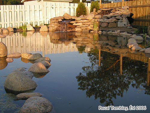 Le jardinage aquatique - Plan de construction d'un bassin aquatique et jardin d'eau