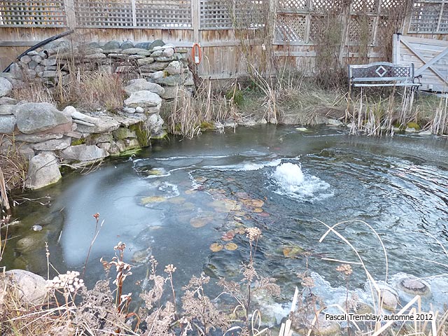 Dglaceur pour bassin aquatique - Conserver ses poissons l'hiver au jardin d'eau