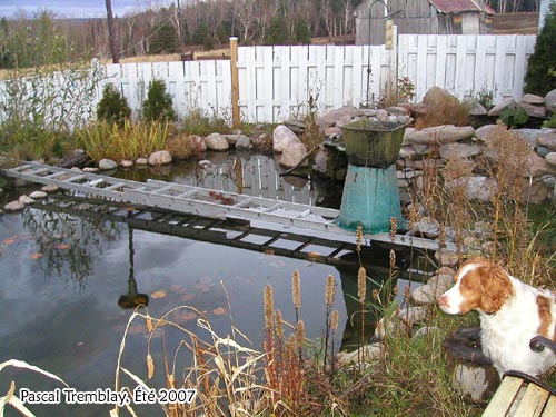 Systme antigel pour jardin d'eau - Dglaceur pour tang - Hivernation des poissons