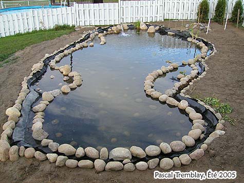 Faire bordures d'un bassin extrieur - Berges Jardin aquatique - Bordures tang de jardin