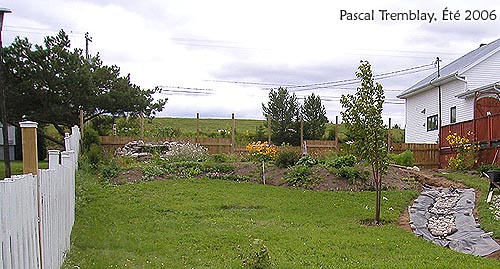 Amnager jardin d'eau tang bassin extrieur - Plan d'amnagement gratuit