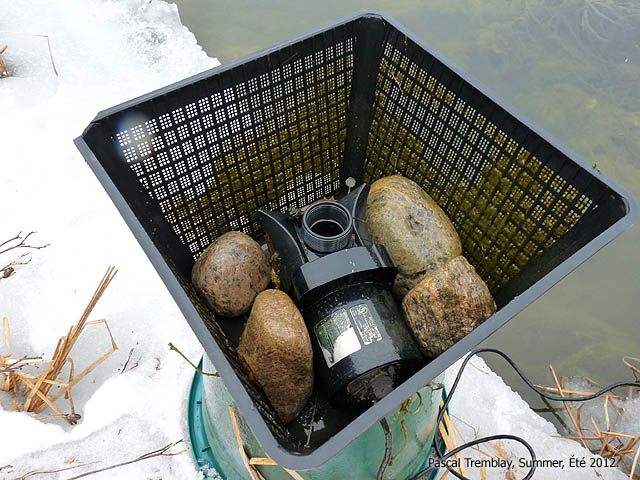 Hiverner un bassin - Deglacer bassin - Installation de la pompe hivernale au bassin - Systme antigel pour jardin d'eau