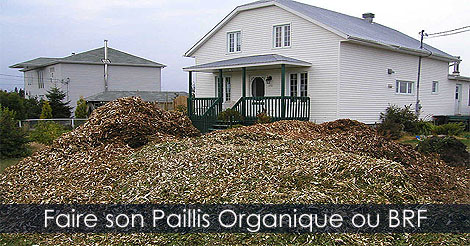 Paillis organique - Comment fabriquer son paillis organique ou bois ram�al fragment� - Paillis d�coratif organique