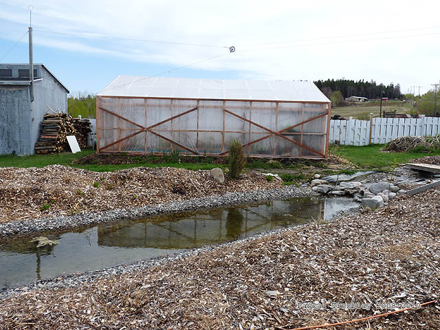 Permaculture - Utiliser du BRF au Jardin �cologique