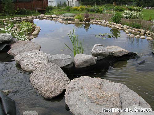 Filtre pour Cascade d'eau - Filtre de bassin extrieur - Matriaux pour cascade