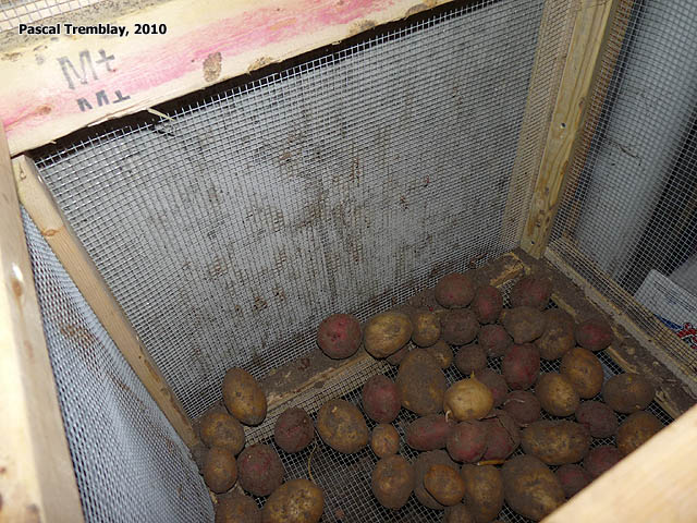Caveau à patates - Chambre froide à vendre - Construire une Chambre Froide