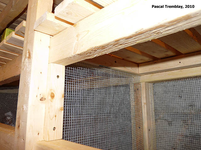 Chambre froide - Construction de casiers pour légumes en grillage