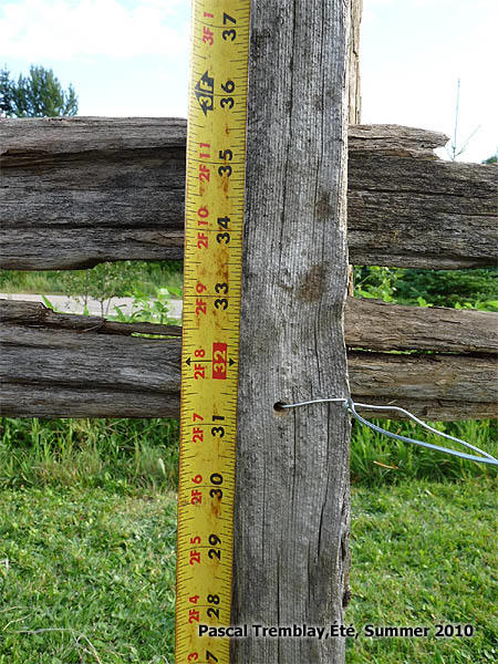 Am�nager une Cl�ture en perches de c�dre - Faire une cl�ture pas cher