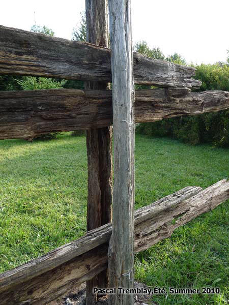 Piquets en c�dre - Perches en c�dre - Cl�ture ornementale - Cl�ture rustique