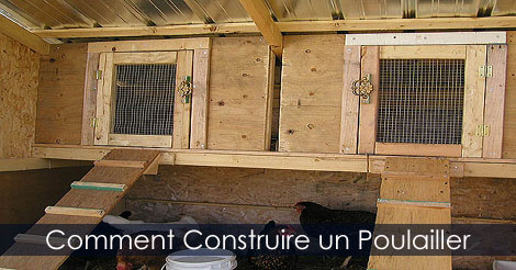 Comment Construire un Poulailler - Plan et étapes de construction d'un Poulailler
