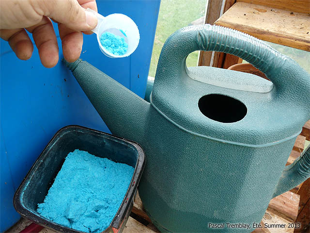 Fertiliser les graniums - Engrais pour graniums - Comment fertiliser les graniums en pots