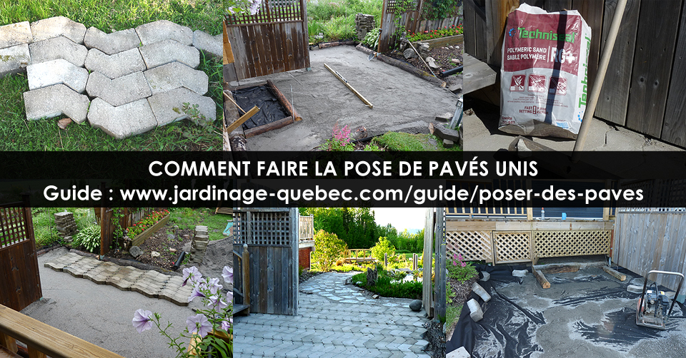 Installer des pavés