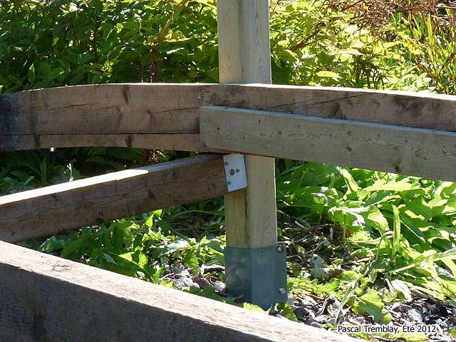 Pont pour Jardin d'eau - Petit Pont d�coratif au Jardin - Plan de petit Pont