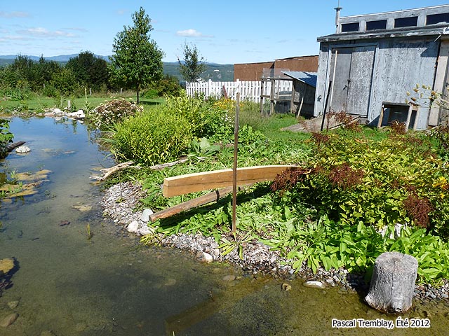 Pont au Jardin aquatique - Faire un Pont � la maison - pont de jardin