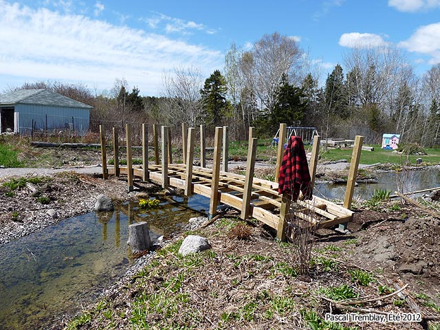 Passerelle de jardin en bois