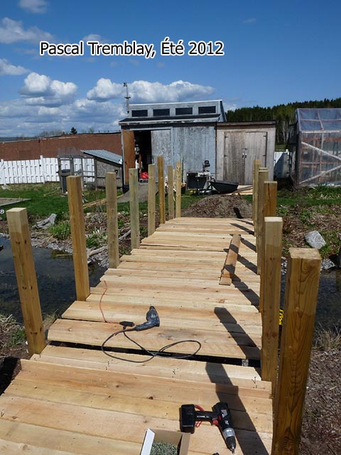 Pont de Qu�bec - Pont Dubuc - Pont Laviolette - Pont Champlain - Pont d'Avignon - Pont de la Conf�d�ration