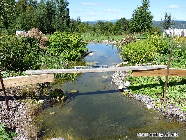 Comment construire un pont en bois en arc - Am�nagement d'un pont au bassin