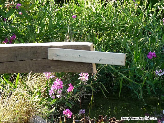 Comment Construire un Pont en Bois Trucs et conseils