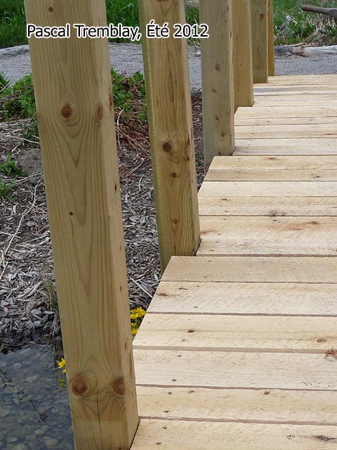 Pont pour �tang en arc en bois - Ing�nierie des Ponts - Architecture Pont en Bois