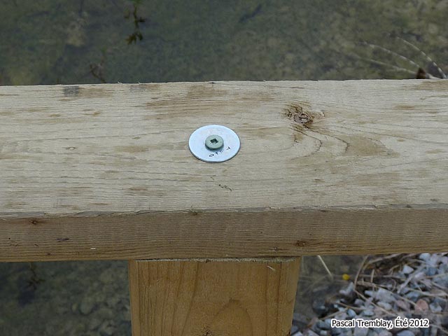 Le Pont de l'�tang - �tapes de construction d'un Pont au jardin aquatique