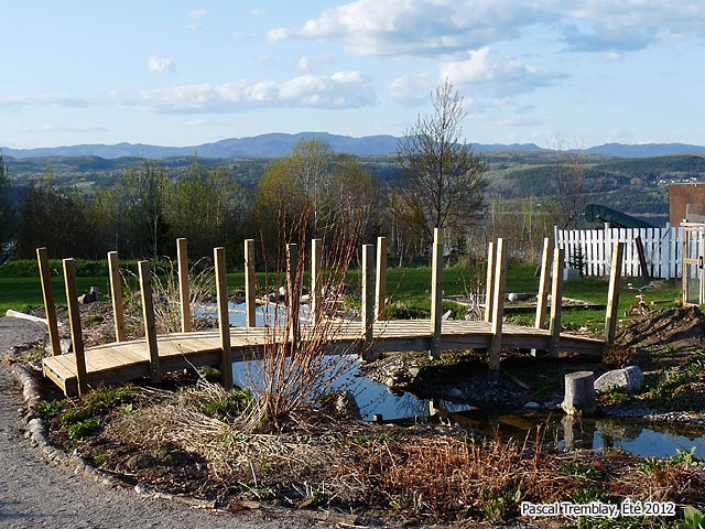 Construction de Ponts - Plan Design et Id�es au Jardin Aquatique - Plans gratuits