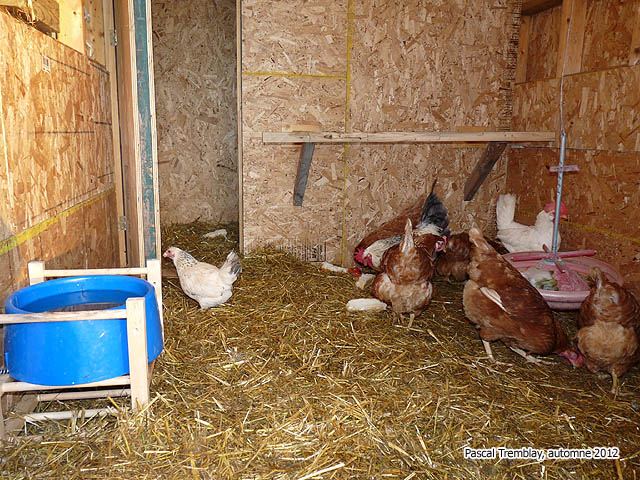 Construire un Poulailler - Plan de construction poulailler - Crer un poulailler