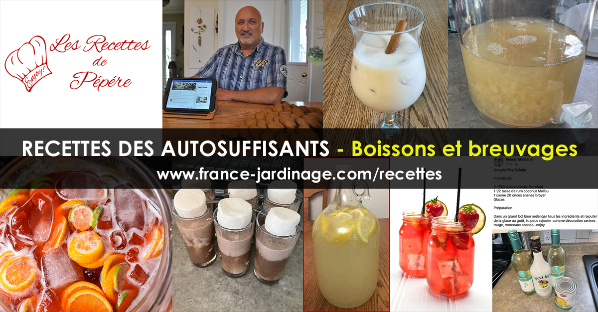 Recettes de breuvages et boissons