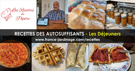 Déjeuners