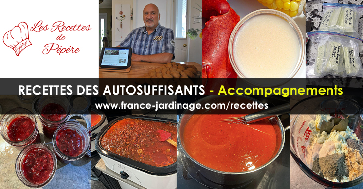 Recettes d'Accompagnements