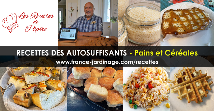 Recettes de Pain