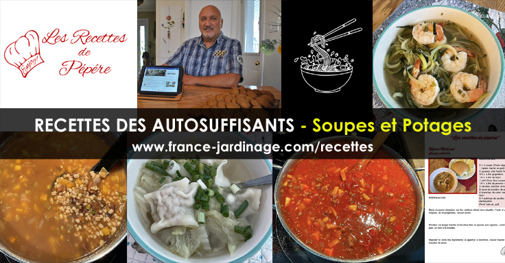 Recettes de Potages