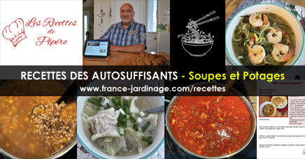 Soupes et potages