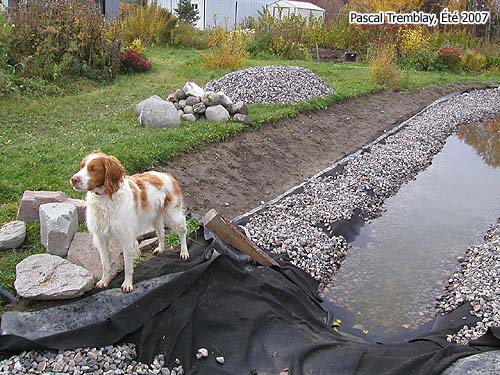 Ruisseau pas cher - Projets au jardin - Plans gratuits et ides de Jardinage aquatique