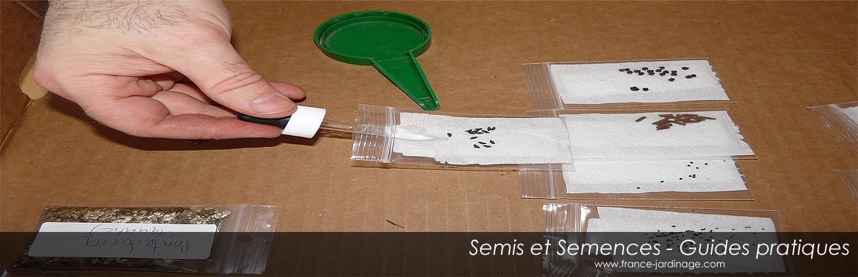 Guide des Semis - Réussir ses semis, trucs et conseils. Aide à la germination des semences
