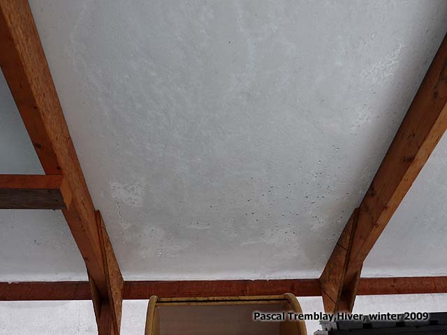 Serre en polythylne / durabilit et support de la charge de neige / Serre en hiver