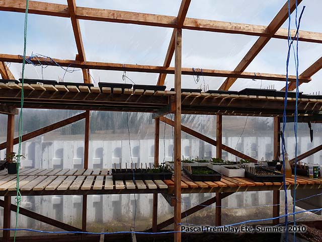 Tablettes mobiles de culture - Tablettes suspendues en bois pour serre - Tablettes de plantation - tagres de serre