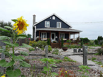 Comment prot�ger et entretenir sa terrasse