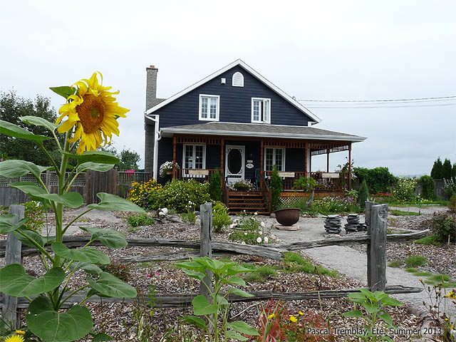 Entretenir une galerie recouverte en bois trait� - Canexel Bleu Minuit