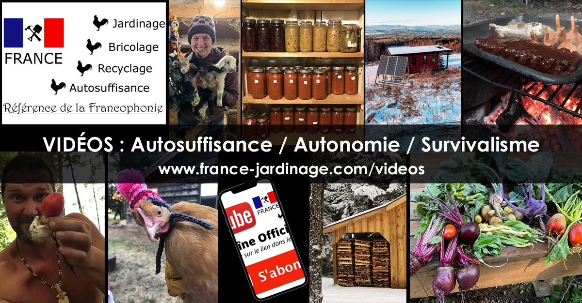 Survivalisme