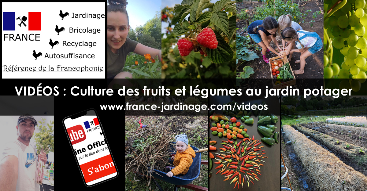 Légumes