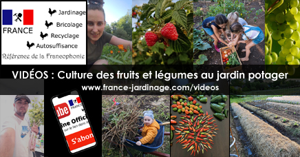 Faire un potager