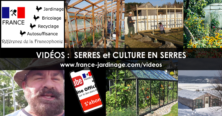 Serre