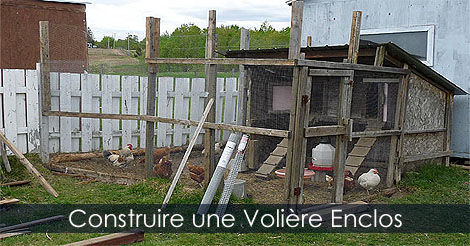 Construire une volire extrieure pour oiseaux - Volire et enclos pour basse-cour - Comment construire une volire au poulailler