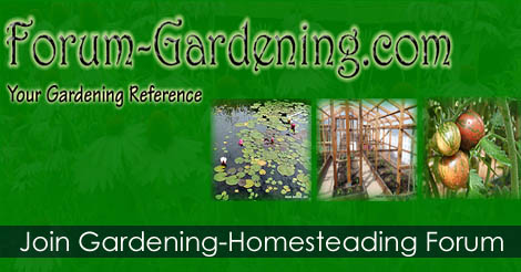 How to Join Gardening and Homesteading Forum
