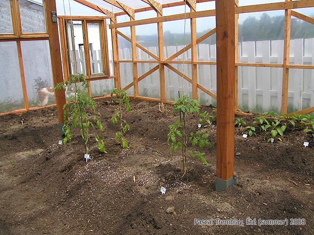 Build a Glasshouse - Greenhouse supplies and building material - Glass or poly Greenhouse