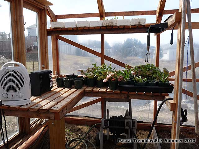 How to seedlings Greenhouse - Greenhouse Heater - Perennials and Natives seeddlings