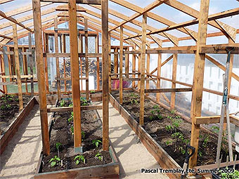 Wooden Greenhouse Plans - How to build wood Greenhouse - DIY wood greenhouse