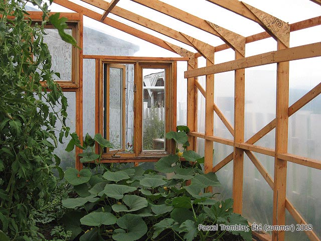Greenhouse interior - Greenhouse thermometer - Greenhouse pots - Greenhouse Hygrometer