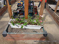 Greenhouse growing box - Wood raised beds in greenhouse - Greenhouse growing boxes - Grennhouse planters